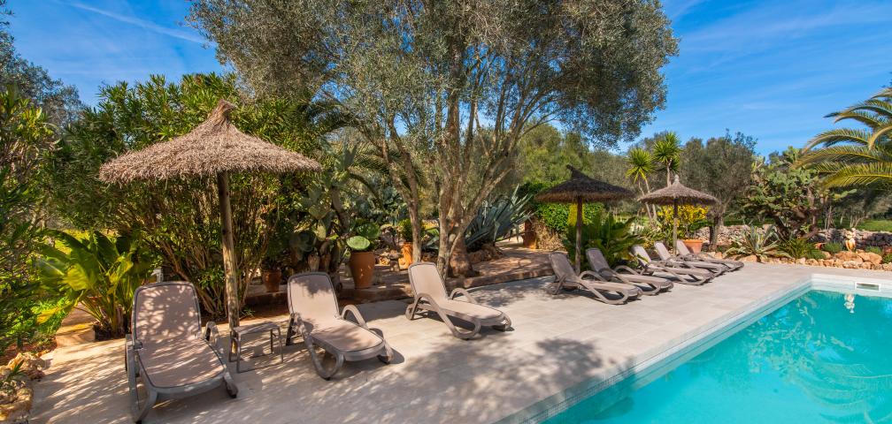 Rural Apartment Redonda 1