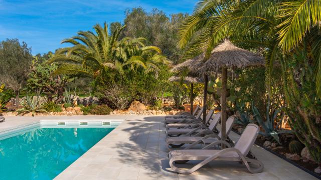 Rural Apartment Redonda 1