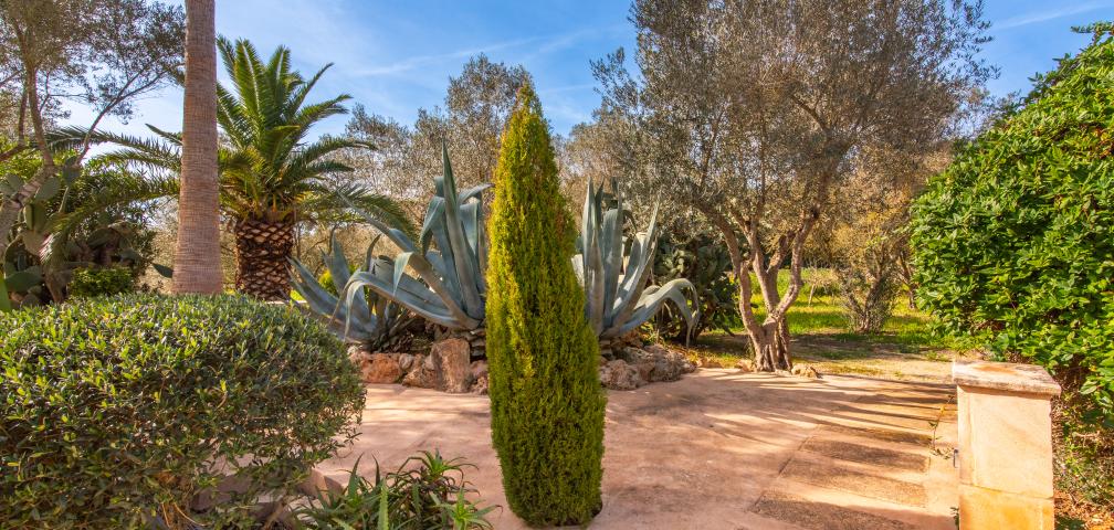 Rural Apartment Redonda 1