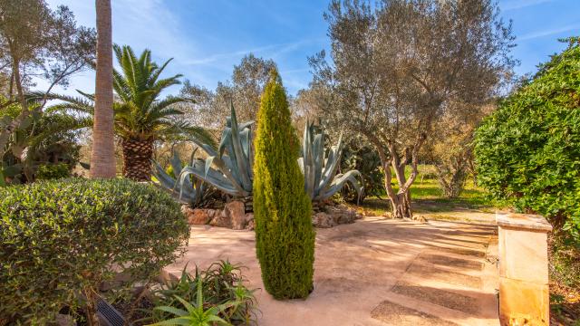 Rural Apartment Redonda 1