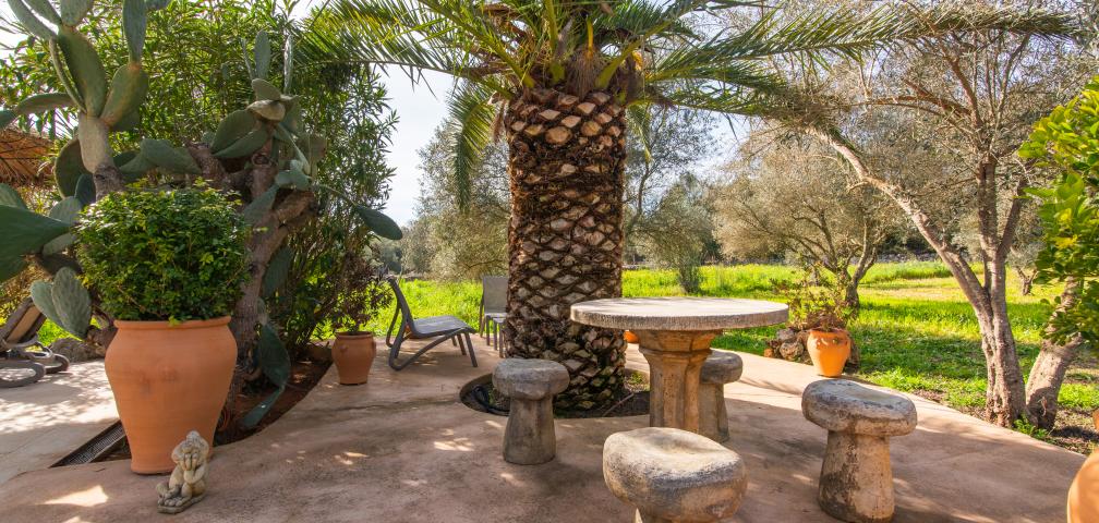 Rural Apartment Redonda 1