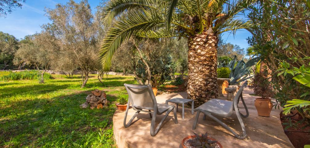 Rural Apartment Redonda 1