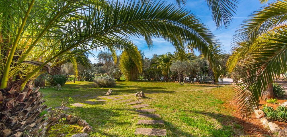 Rural Apartment Redonda 1