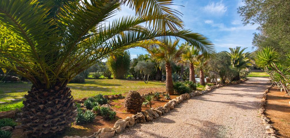 Apartamento rural Redonda 2