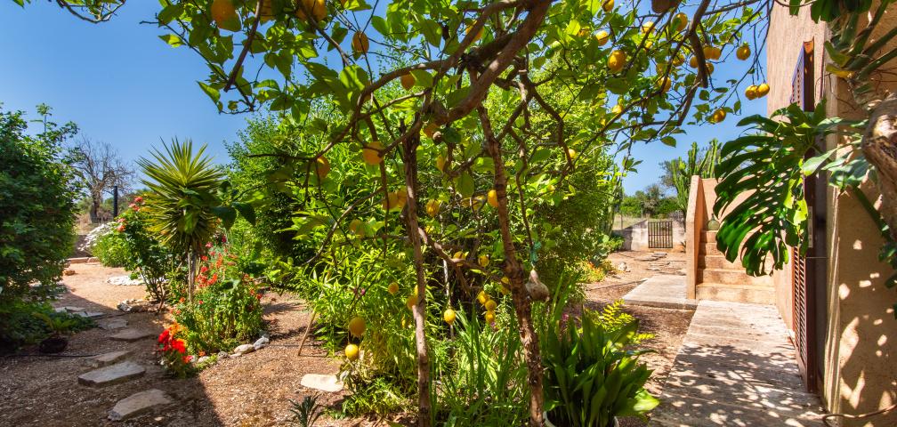 Rural Villa Sa Granja d'es padrí