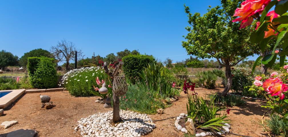 Rural Villa Sa Granja d'es padrí