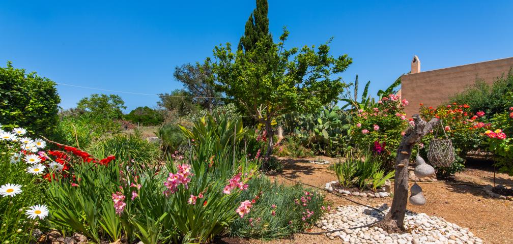 Rural Villa Sa Granja d'es padrí