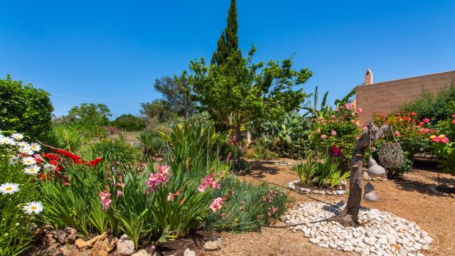 Rural Villa Sa Granja d'es padrí