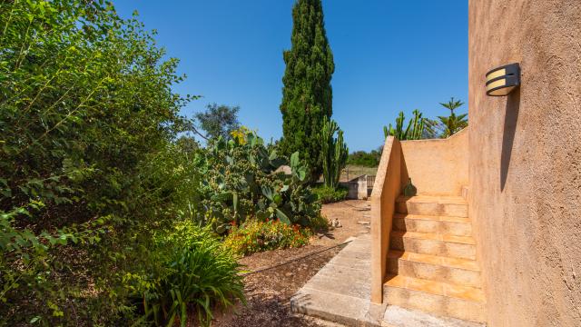 Rural Villa Sa Granja d'es padrí