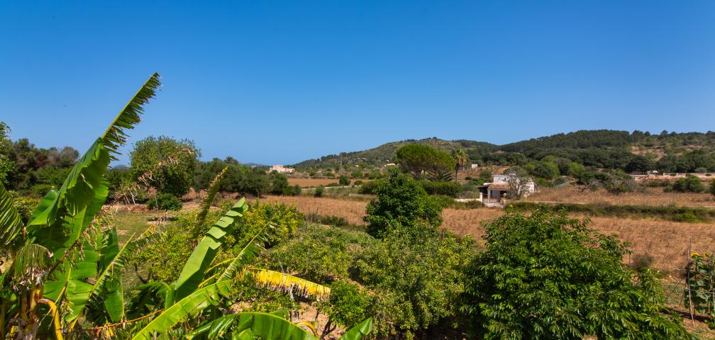 Rural Villa Sa Granja d'es padrí
