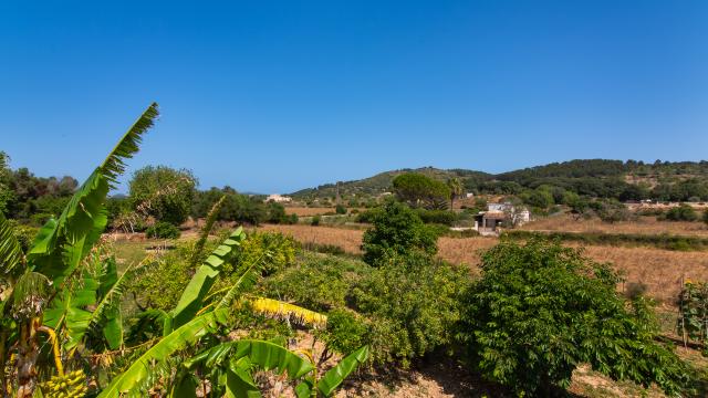 Rural Villa Sa Granja d'es padrí
