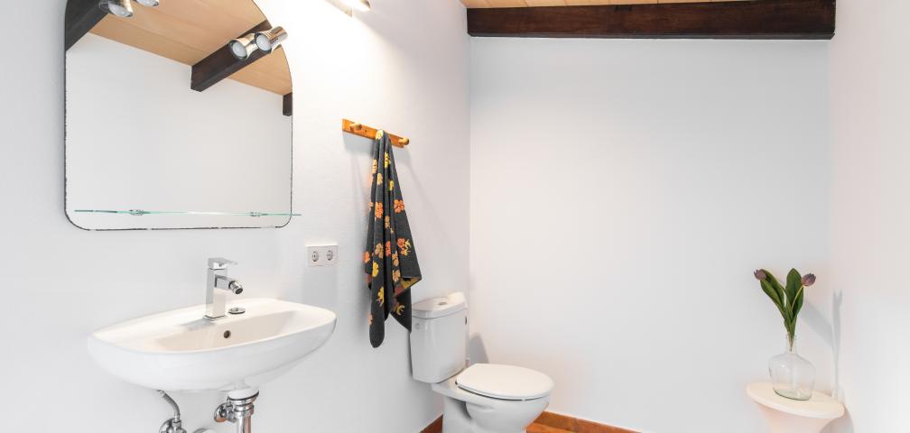 Rural Villa Sa Granja d'es padrí