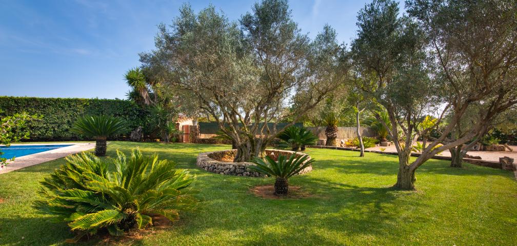 Rural Villa Can Sanchez