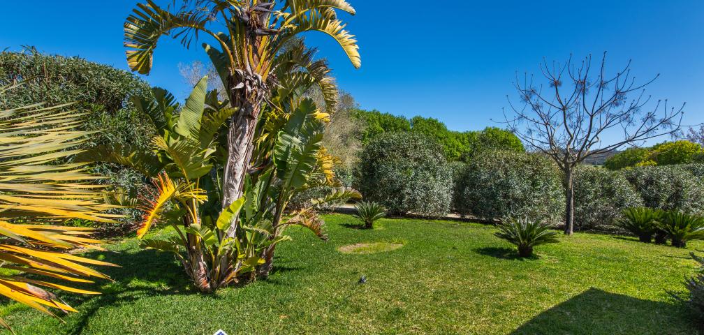 Rural Villa Son Artigues