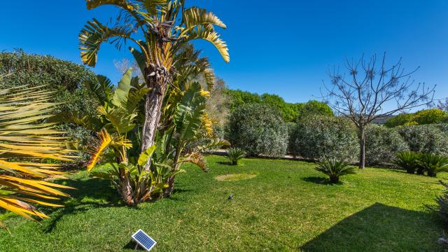 Rural Villa Son Artigues