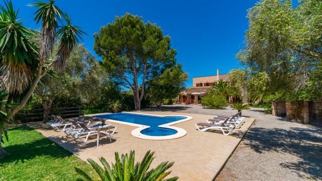 Finca S´Olivar d´es Coscois