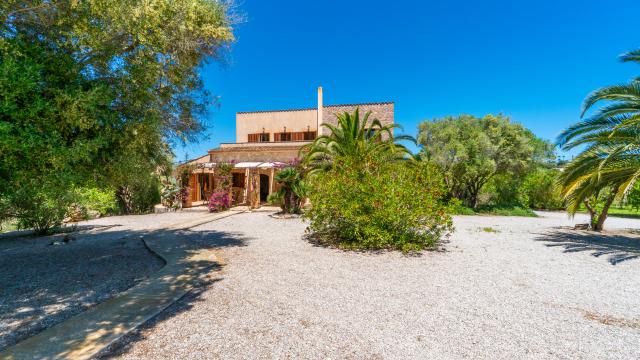 Finca S´Olivar d´es Coscois