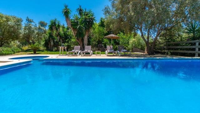 Finca S´Olivar d´es Coscois