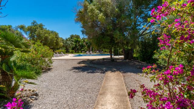 Finca S´Olivar d´es Coscois