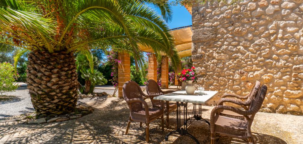 S´Olivar d´es Coscois