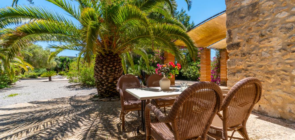 Finca S´Olivar d´es Coscois