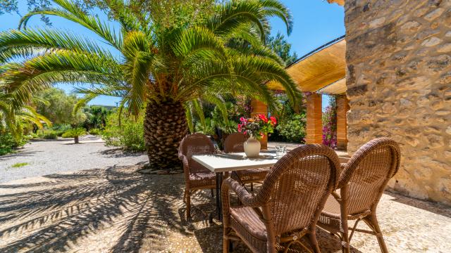 Finca S´Olivar d´es Coscois