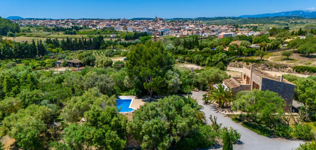 Finca S´Olivar d´es Coscois