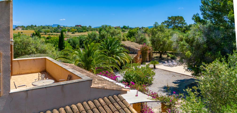 Finca S´Olivar d´es Coscois