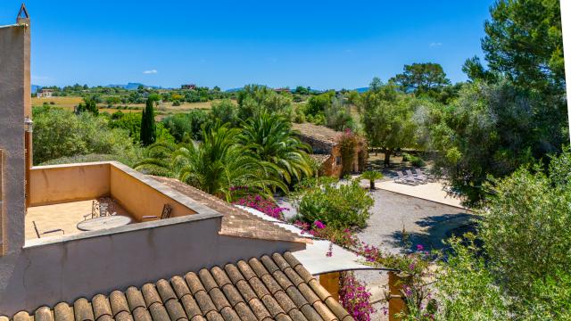 Finca S´Olivar d´es Coscois