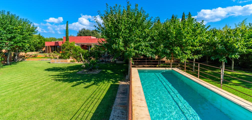 Finca S'olivar d'es Barranc de son cifre