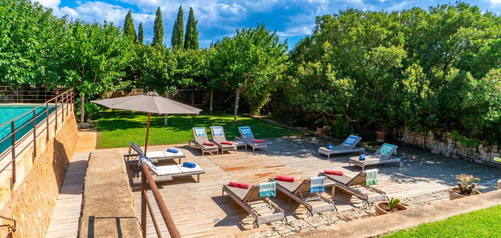 Finca S'olivar d'es Barranc de son cifre