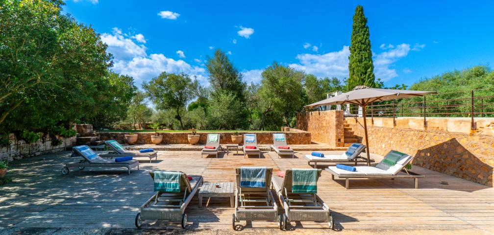 Finca S'olivar d'es Barranc de son cifre