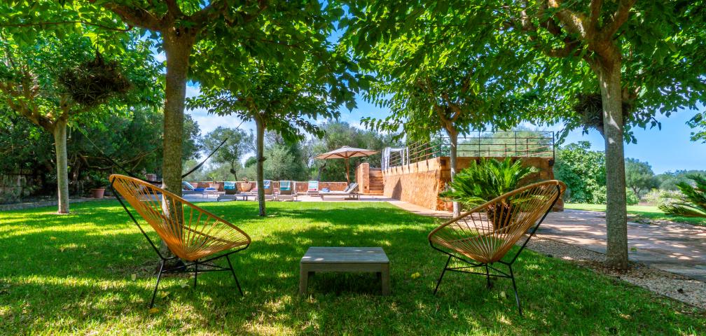 Finca S'olivar d'es Barranc de son cifre