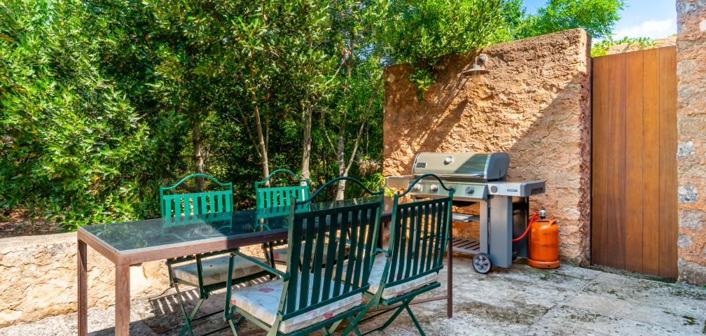Finca S'olivar d'es Barranc de son cifre
