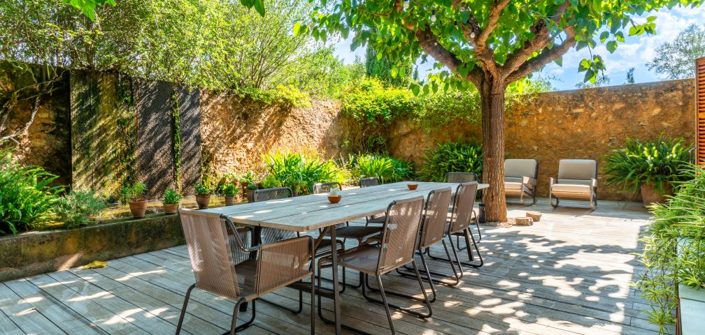 Finca S'olivar d'es Barranc de son cifre