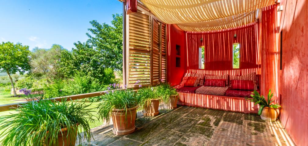 Finca S'olivar d'es Barranc de son cifre