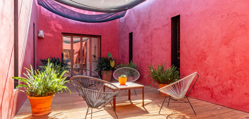 Finca S'olivar d'es Barranc de son cifre