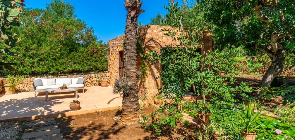 Finca S'olivar d'es Barranc de son cifre