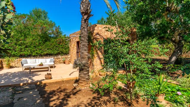 Rural Villa S'olivar d'es Barranc de son cifre
