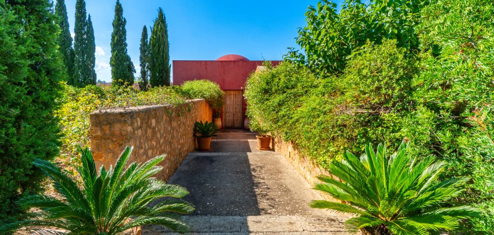 Finca S'olivar d'es Barranc de son cifre