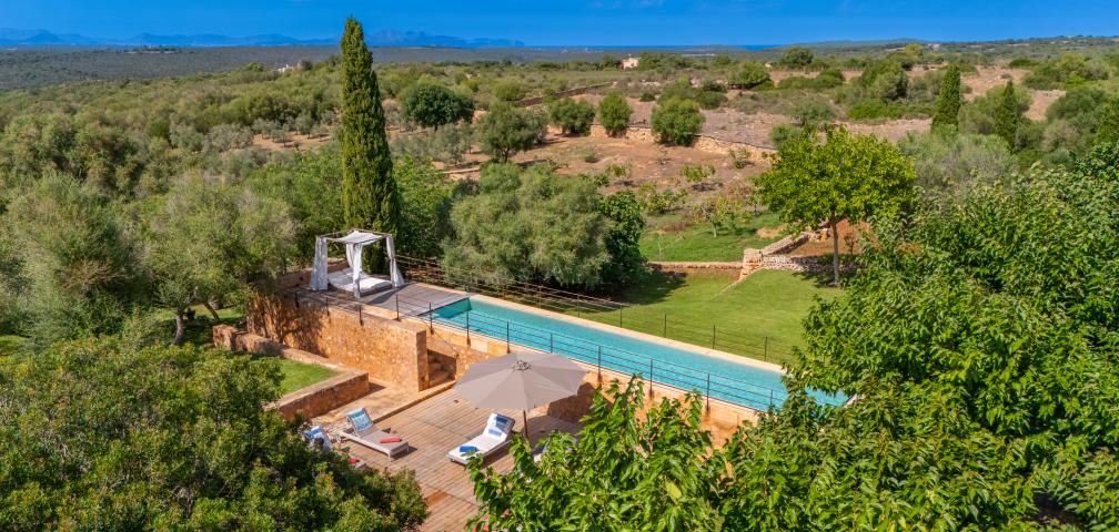 Finca S'olivar d'es Barranc de son cifre