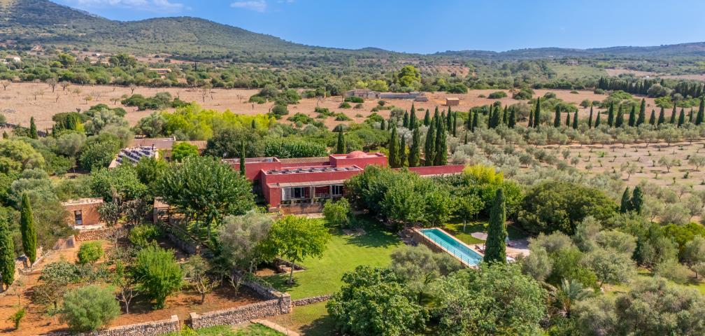 Finca S'olivar d'es Barranc de son cifre