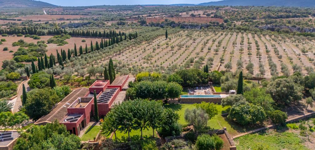 Finca S'olivar d'es Barranc de son cifre