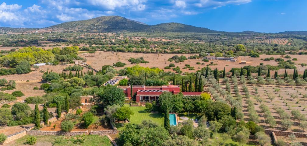 Finca S'olivar d'es Barranc de son cifre