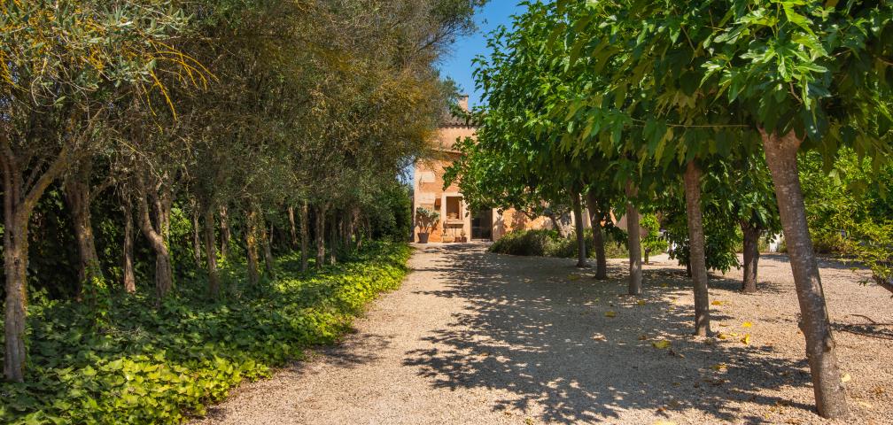 Rural Villa Jara