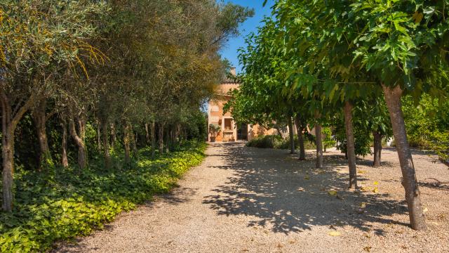 Rural Villa Jara