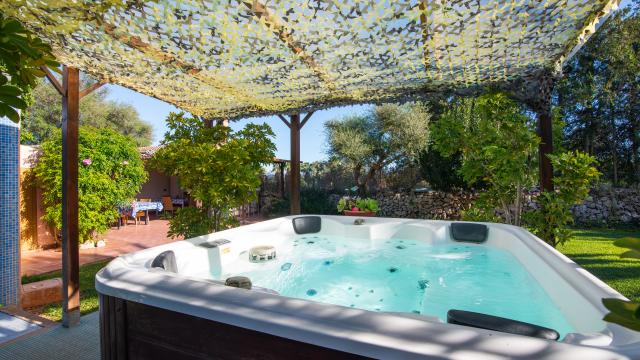 Rural Villa Ca Na Bisquerra