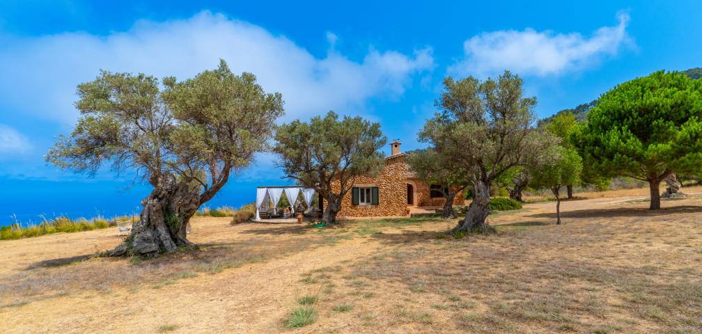 Rural Villa Son Gallard Nou