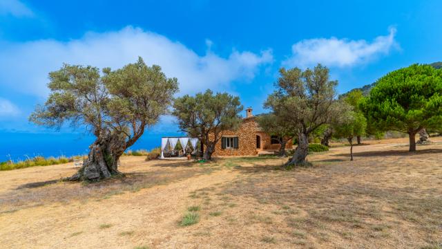 Rural Villa Son Gallard Nou