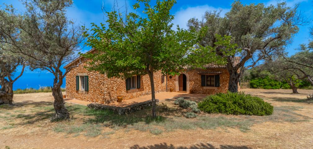 Rural Villa Son Gallard Nou